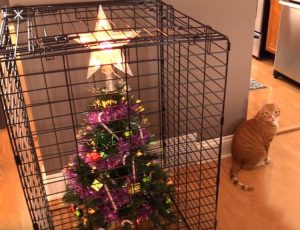 Ideas para Arbol de Navidad Pet Friendly